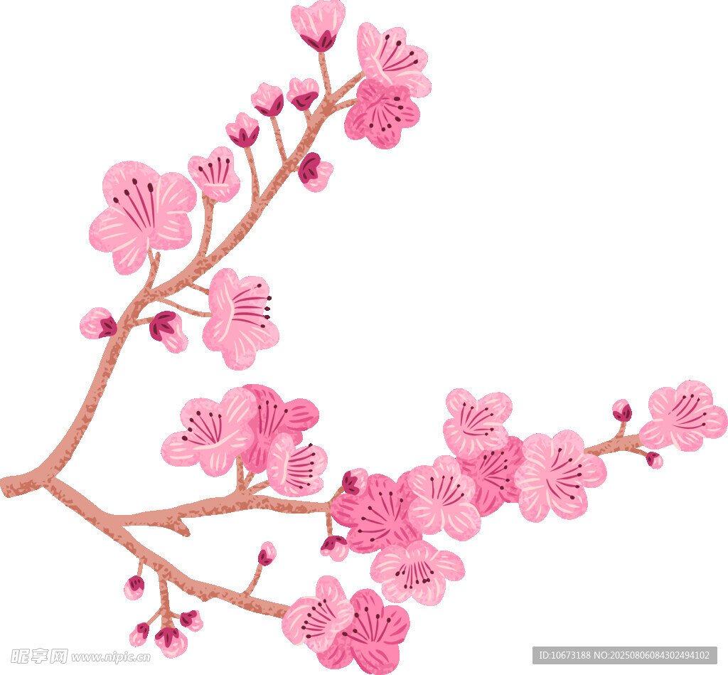 粉色桃花枝插畫