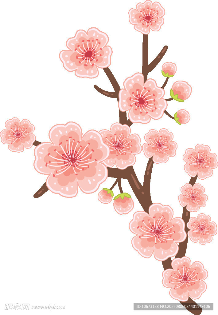 粉色櫻花枝特寫