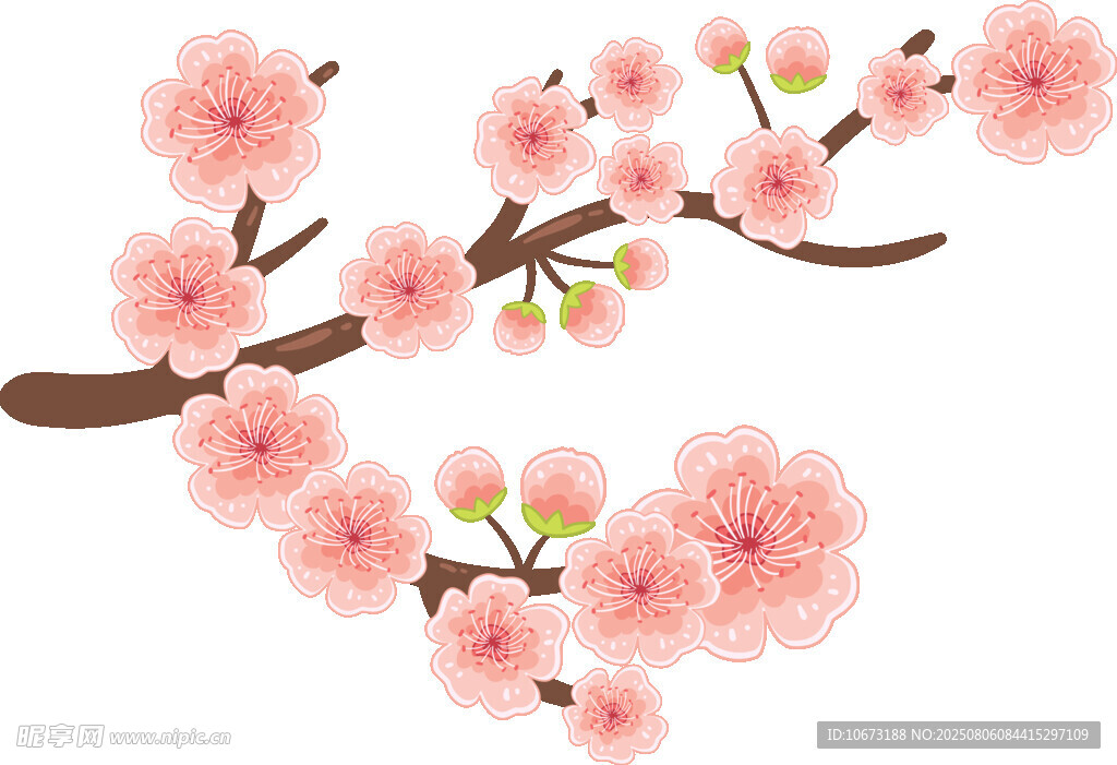 粉色櫻花枝