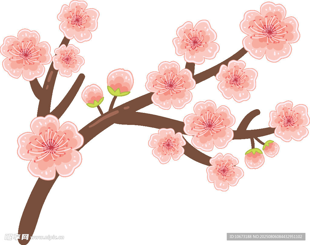 粉色櫻花枝