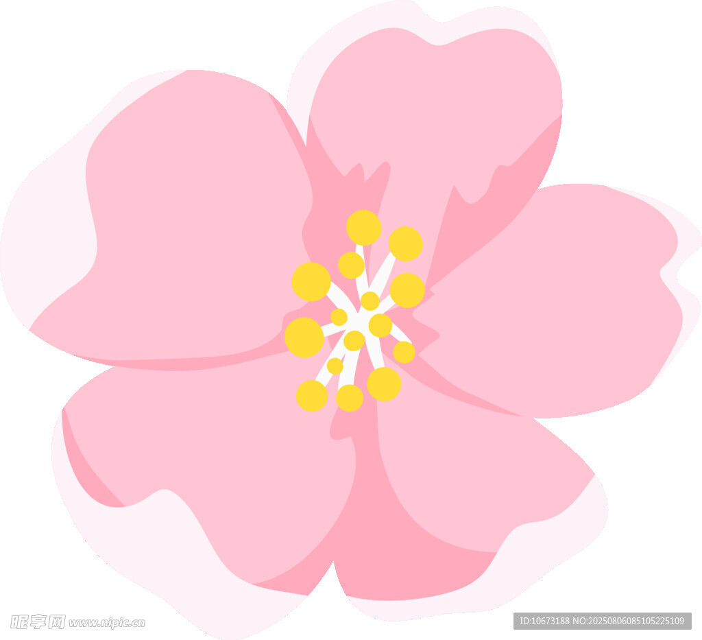 粉色櫻花花朵插畫
