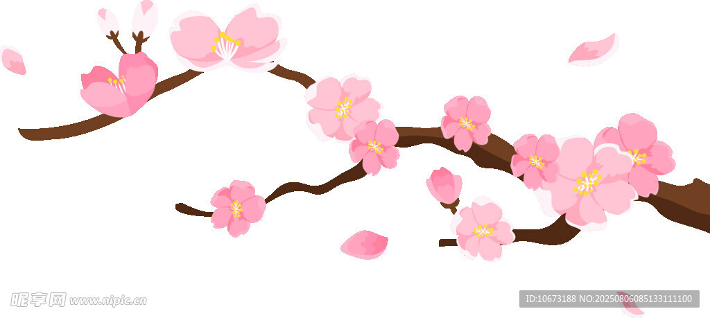 粉色櫻花枝