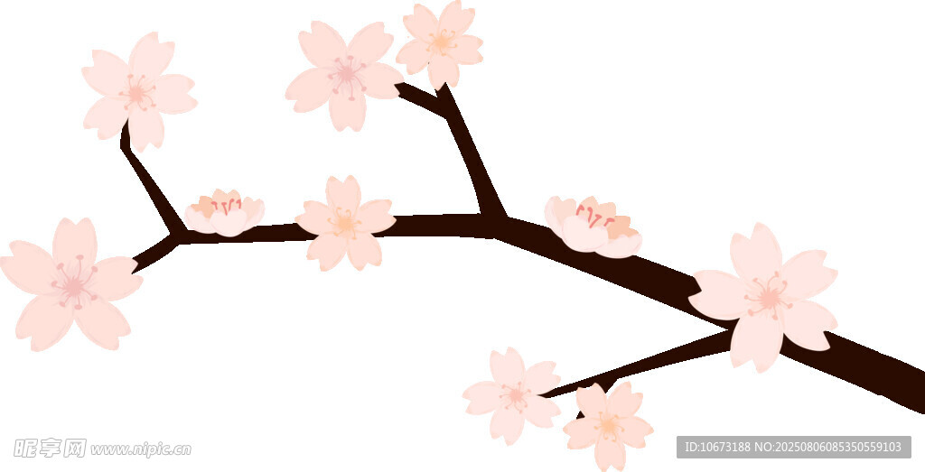 粉色櫻花枝
