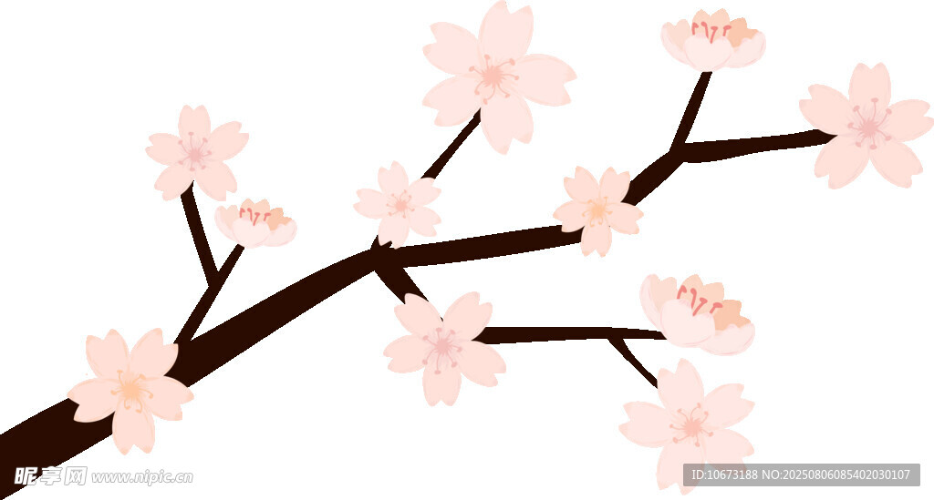 粉色櫻花枝