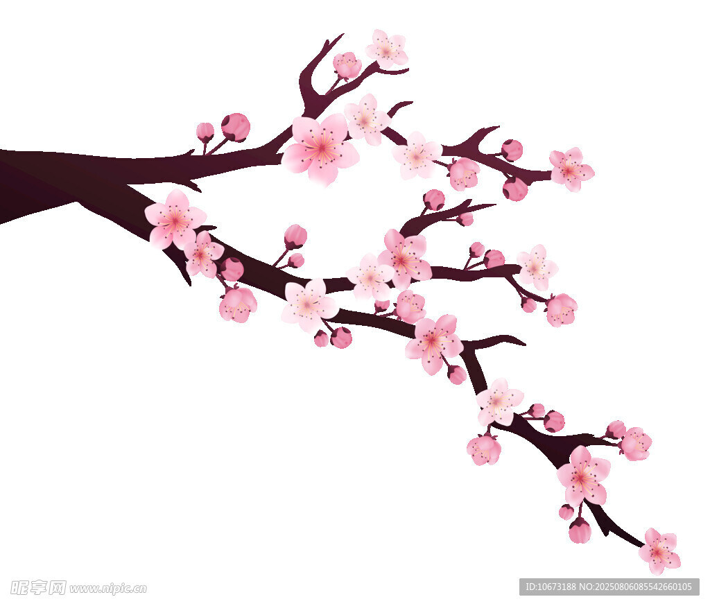 粉色桃花枝