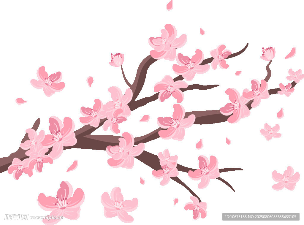 粉色櫻花枝