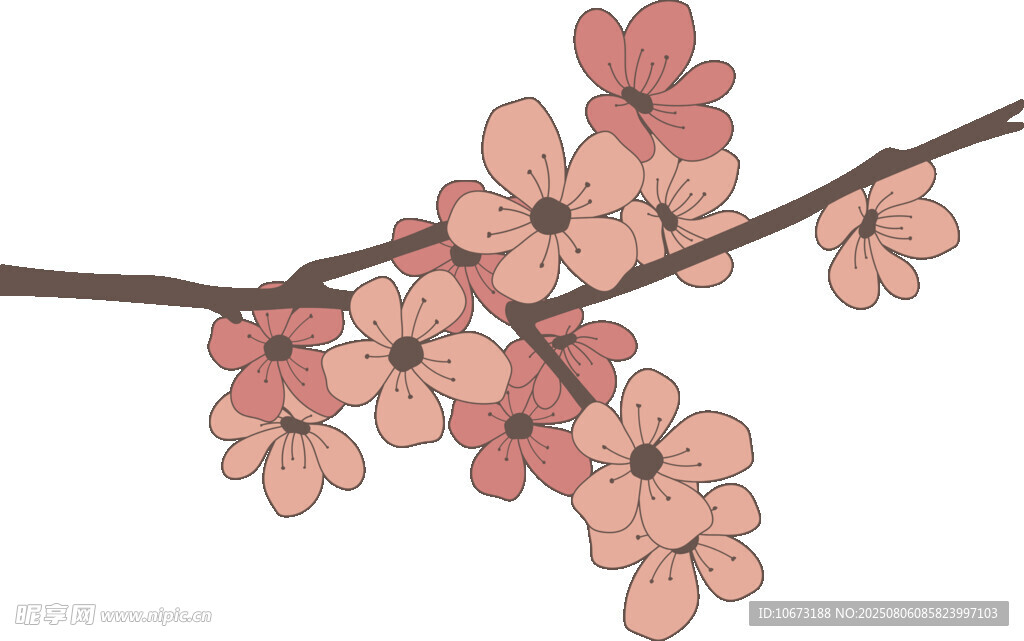 粉色櫻花枝