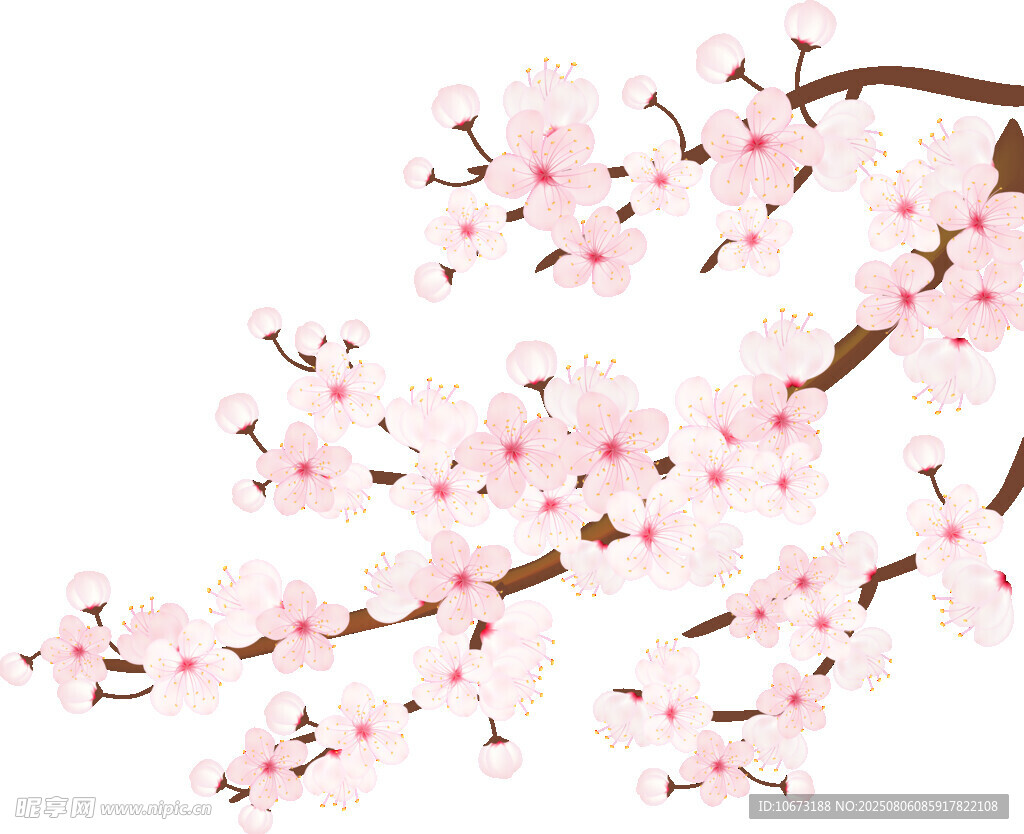 粉色爛漫櫻花枝