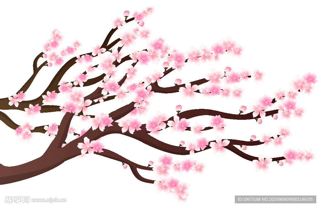 粉色櫻花樹枝插畫