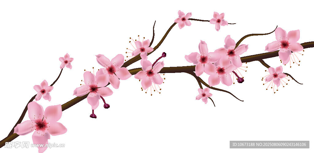 粉色桃花枝