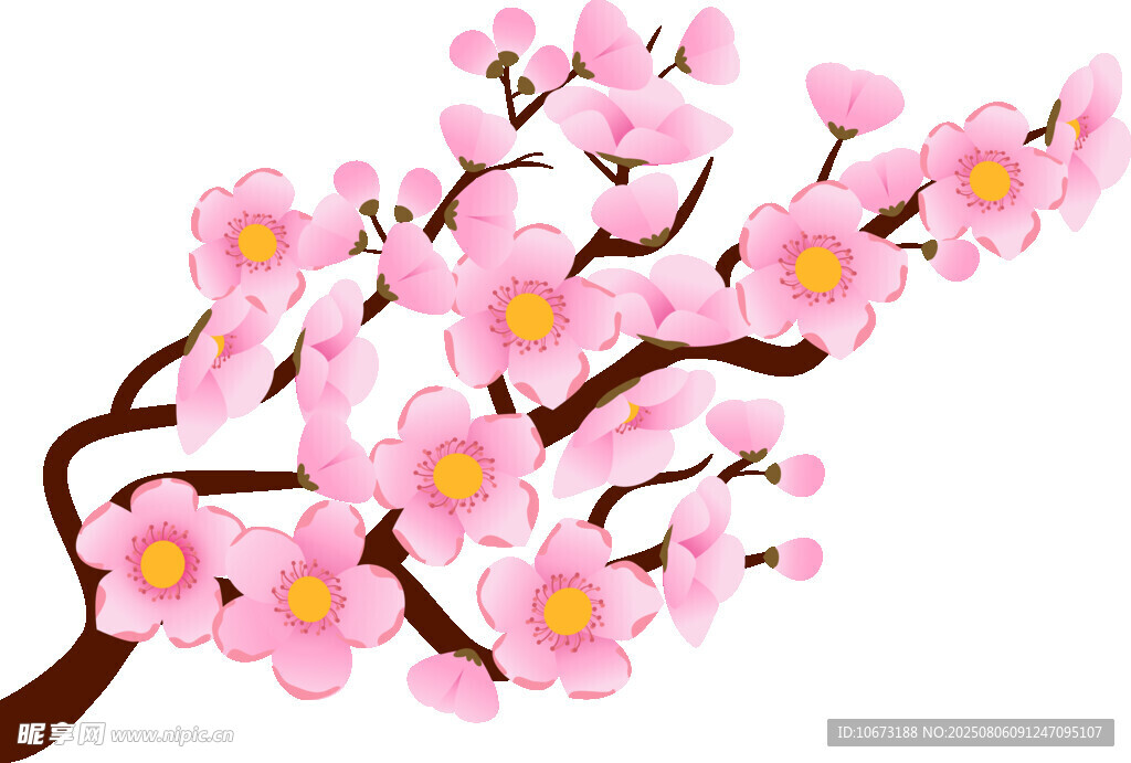 粉色櫻花枝