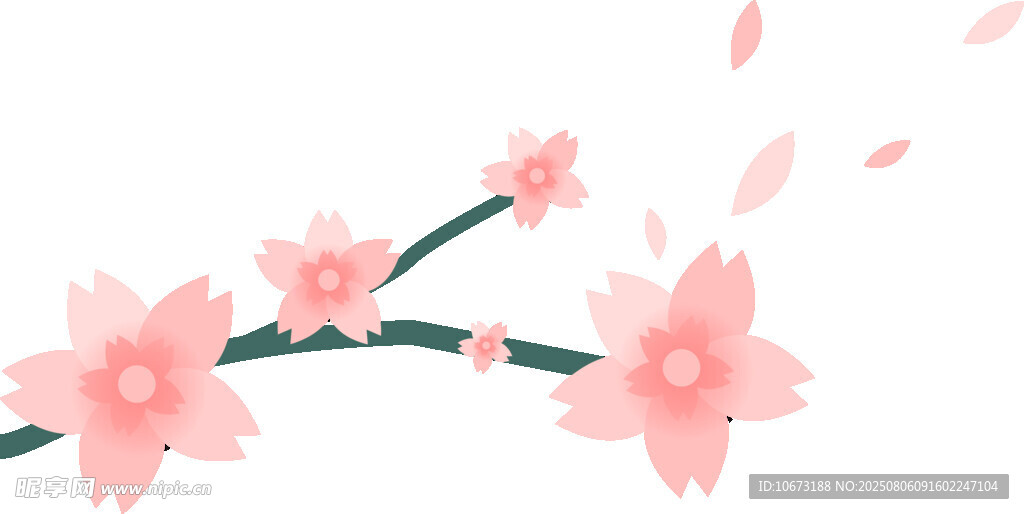 粉色櫻花枝