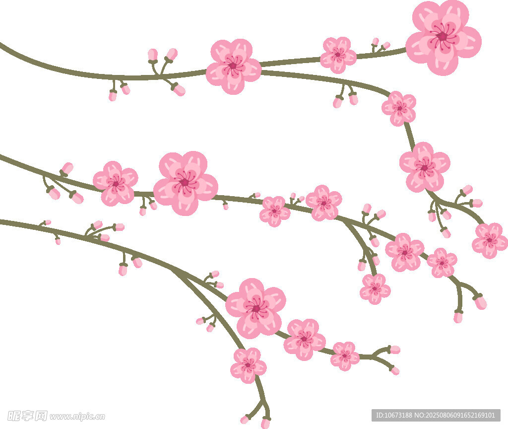 粉色爛漫櫻花枝
