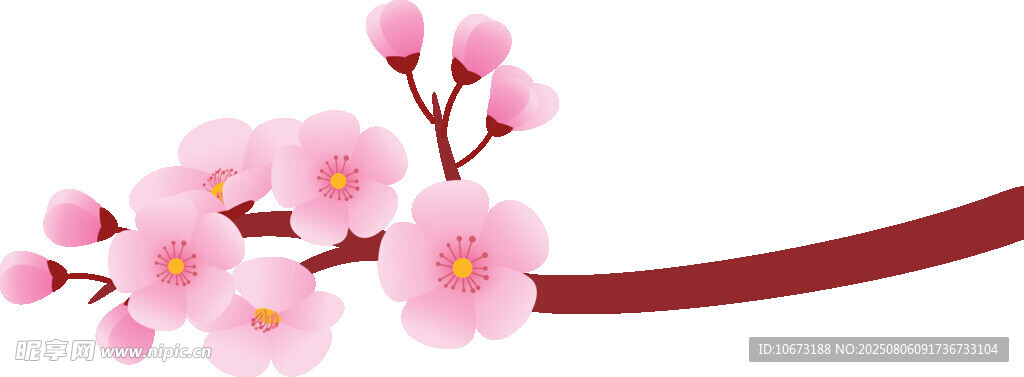 粉色櫻花枝
