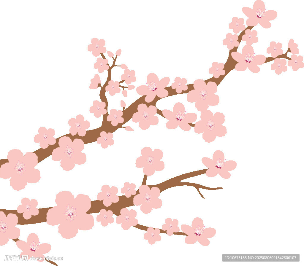 粉色櫻花枝