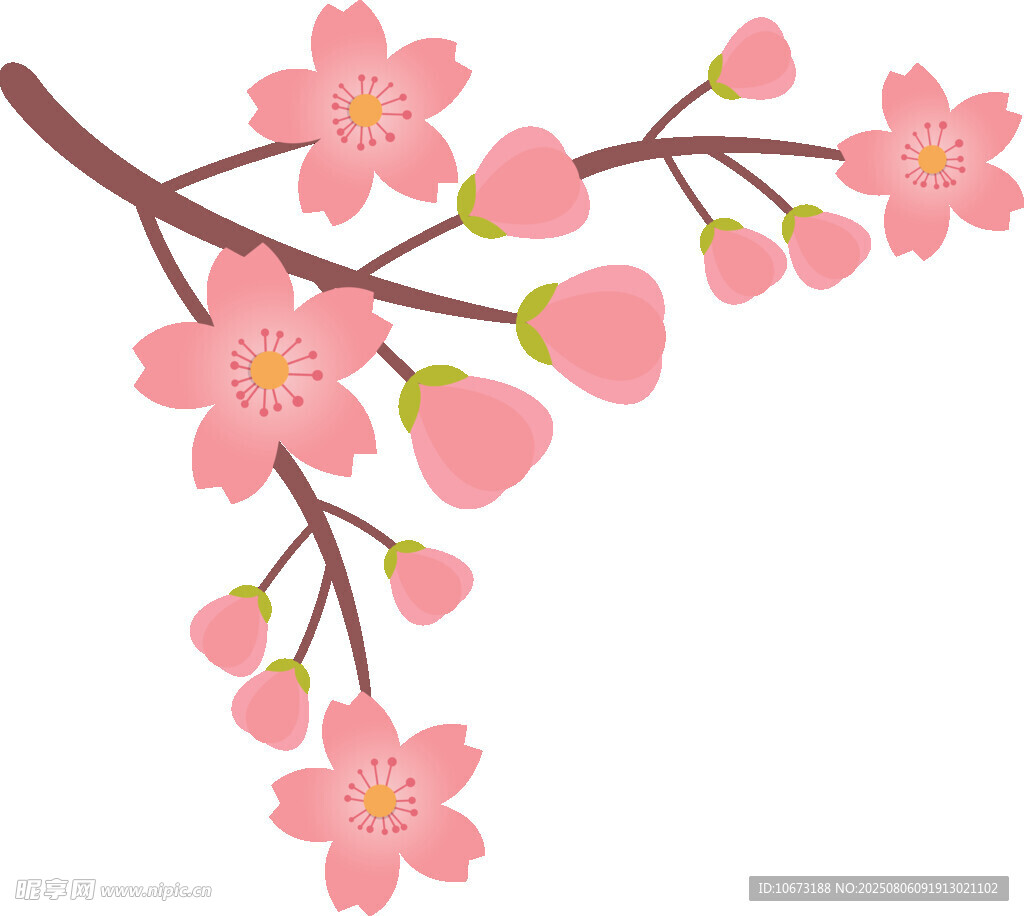 粉色櫻花枝