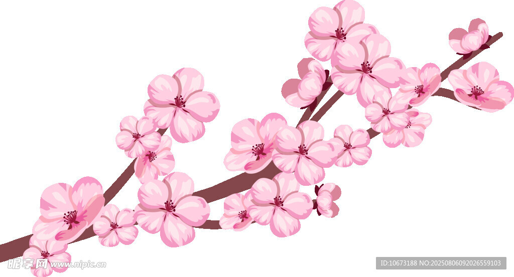 粉色櫻花枝