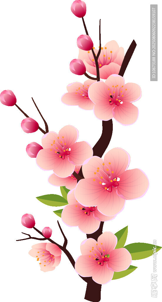 粉色桃花枝插畫