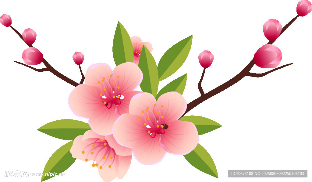 粉色桃花枝