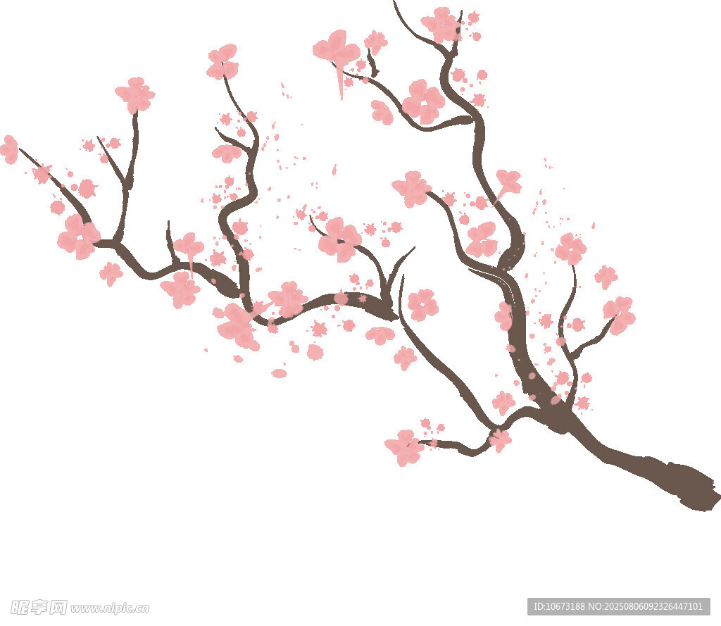 粉色櫻花枝插畫