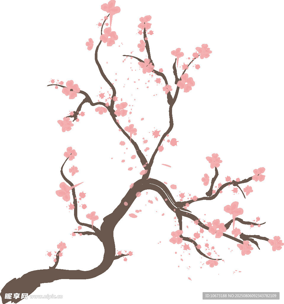 粉色梅花枝