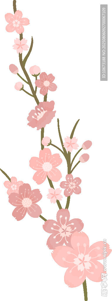 粉色櫻花枝