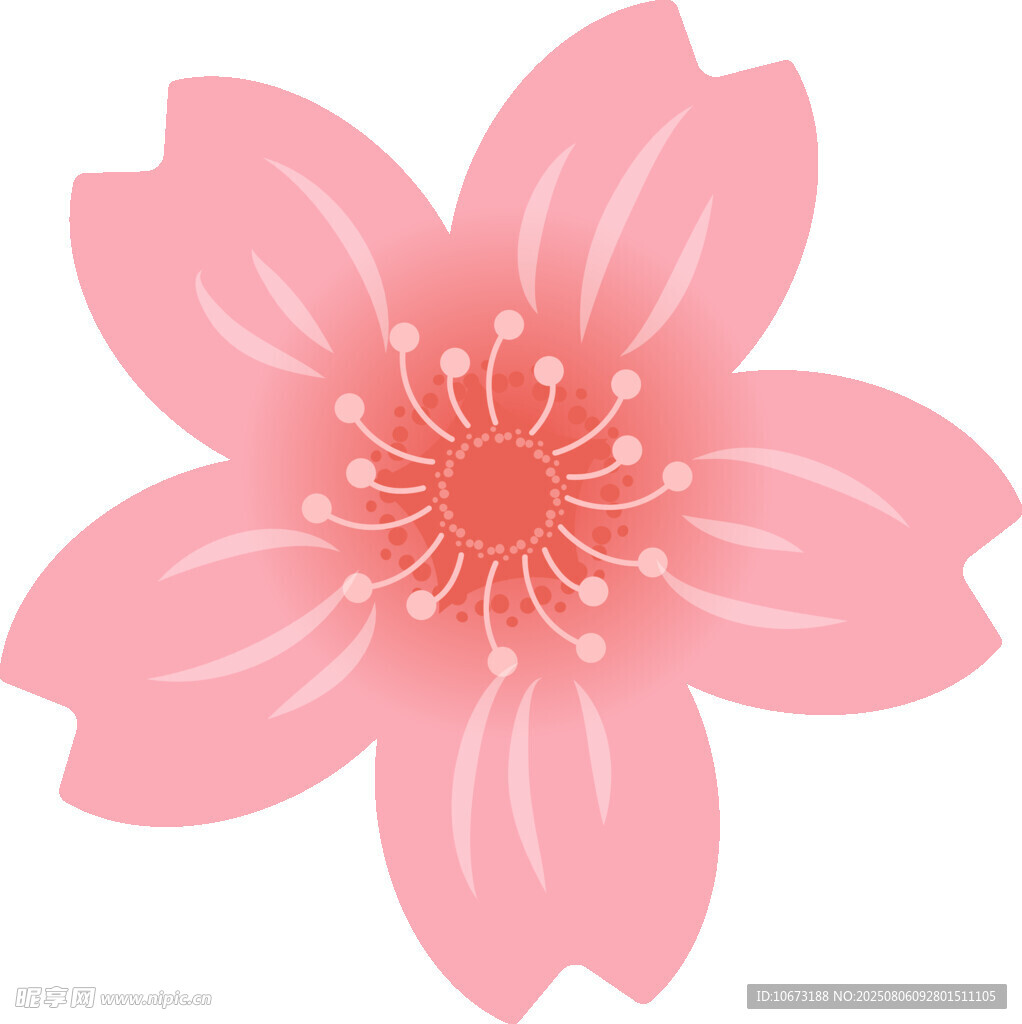 粉色櫻花花朵圖案