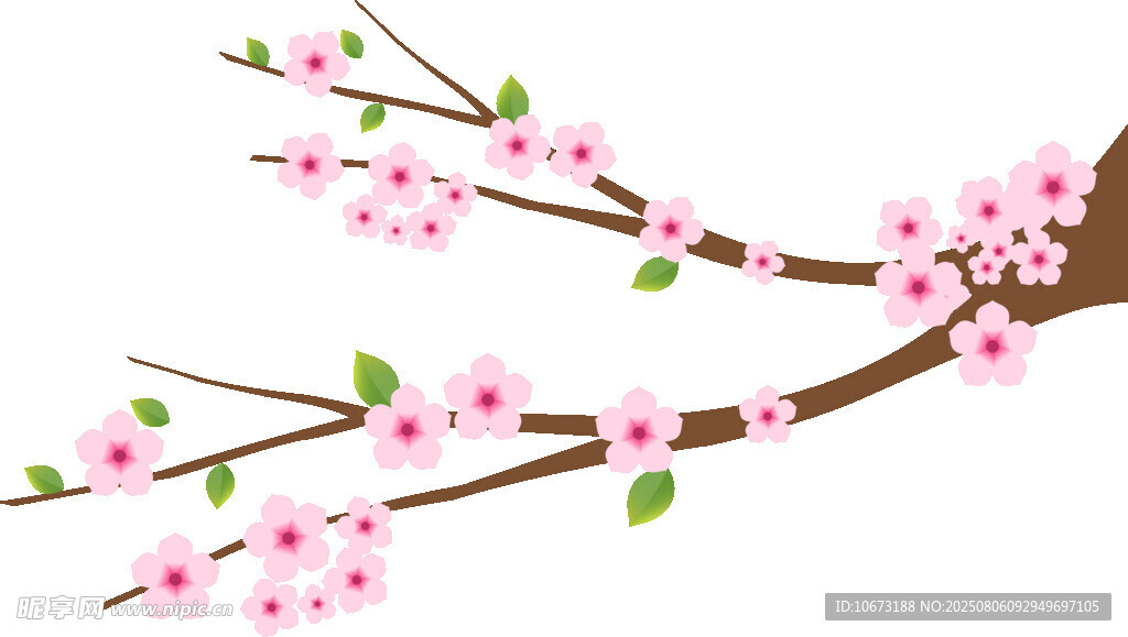 粉色櫻花枝