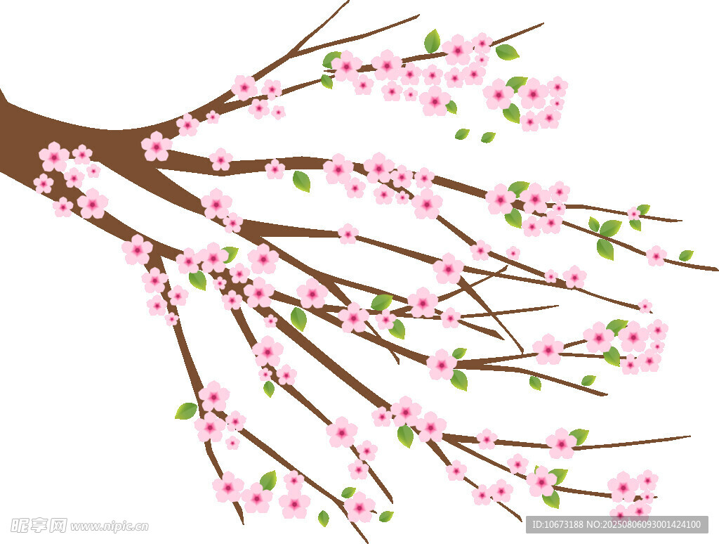 粉色桃花枝