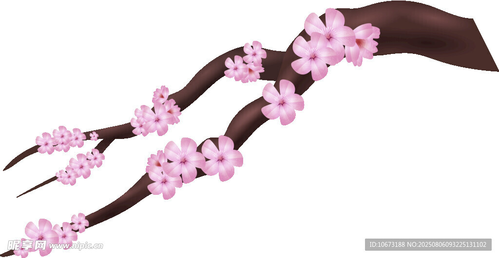 粉色櫻花樹枝