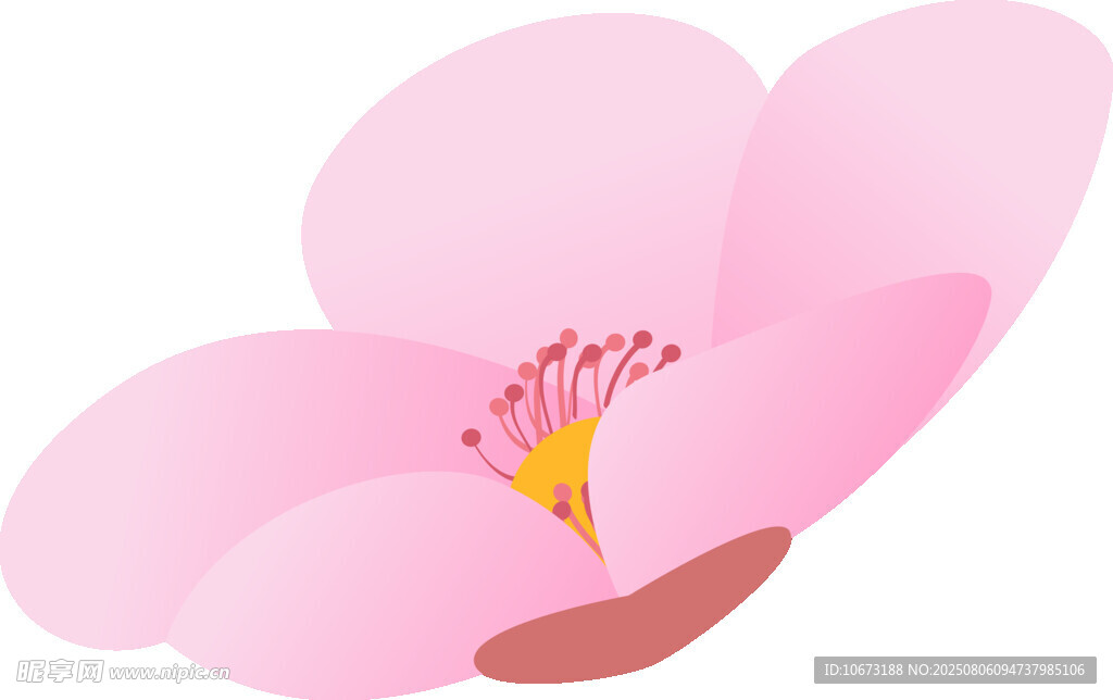 粉色桃花插畫