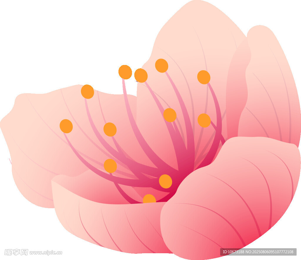 粉色唯美綻放花朵插畫