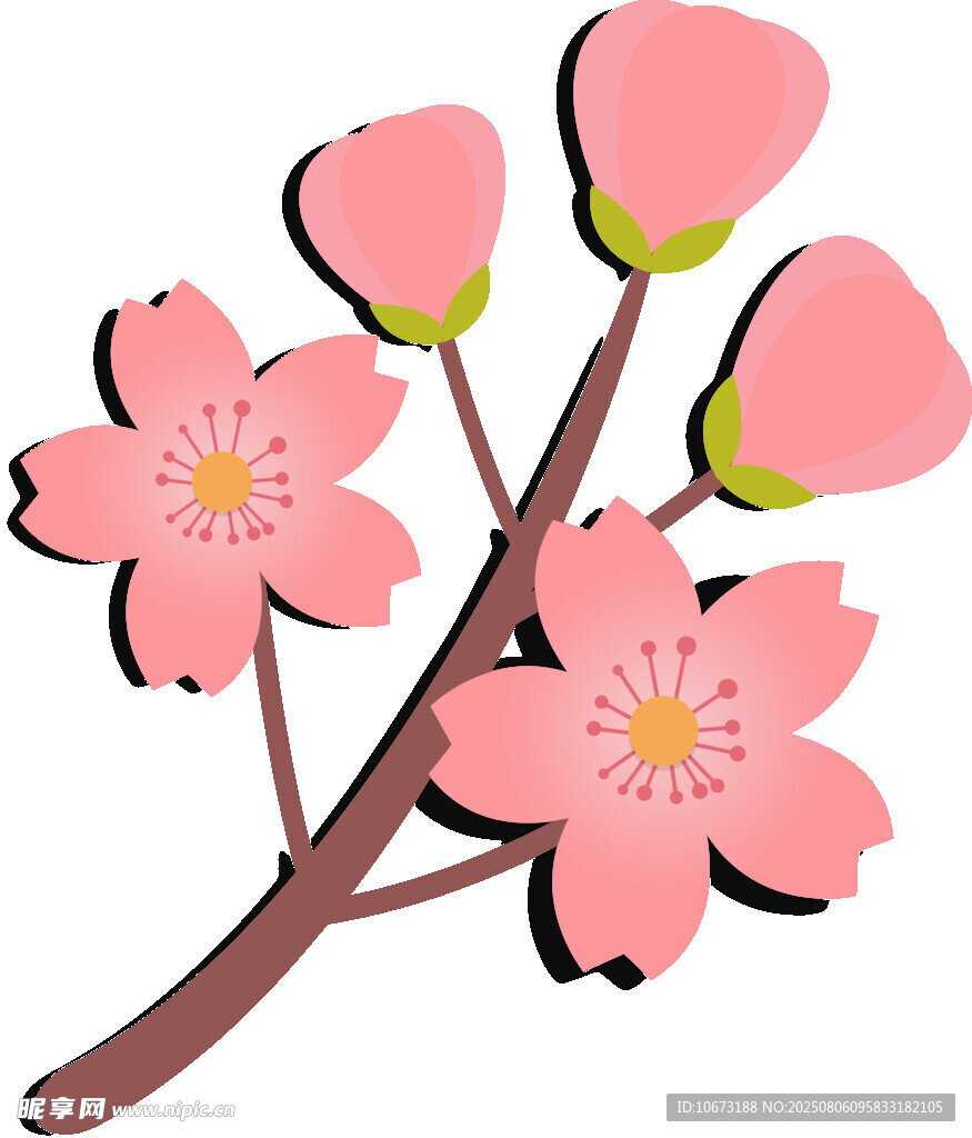粉色櫻花枝插畫