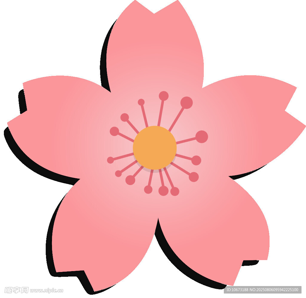 粉色櫻花花朵圖案