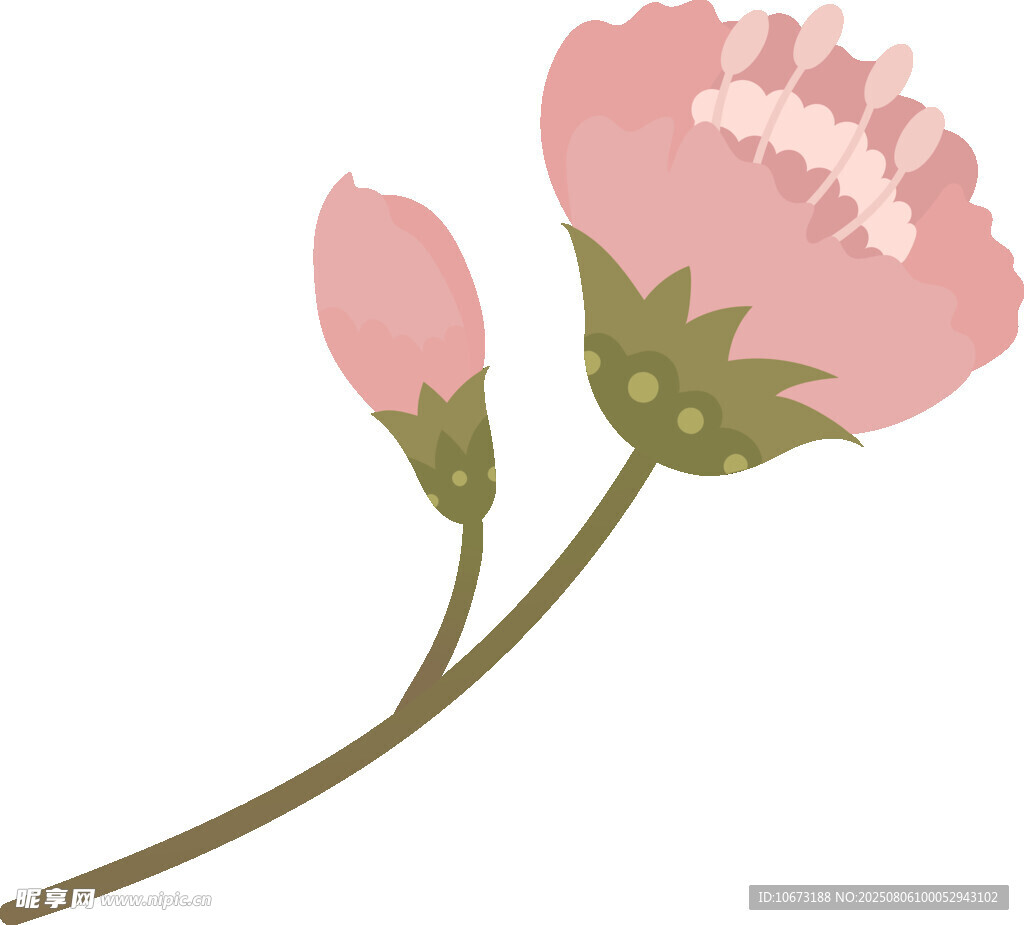 粉色花卉插畫(huà)