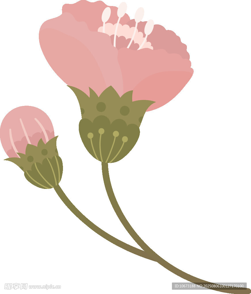 粉色花卉插畫