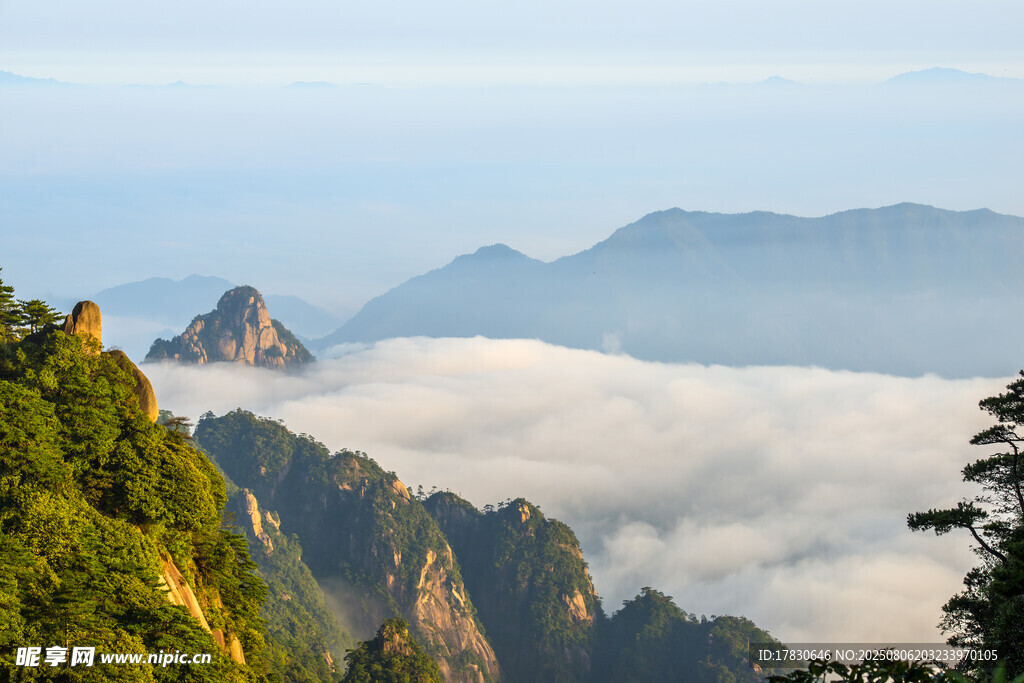 黃山云海中的壯麗山峰