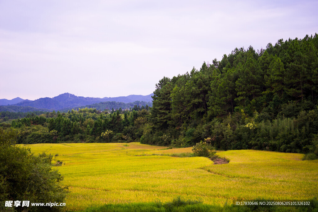 山間綠野風(fēng)光