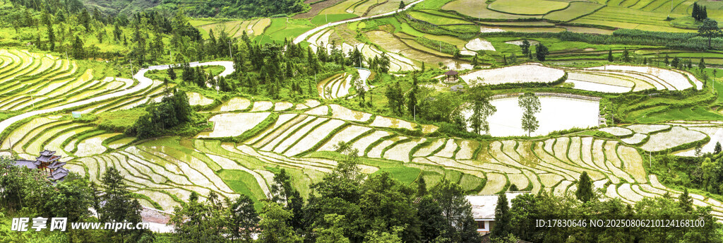 美麗梯田風(fēng)光