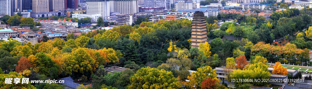 西安古城小雁塔秋色全景