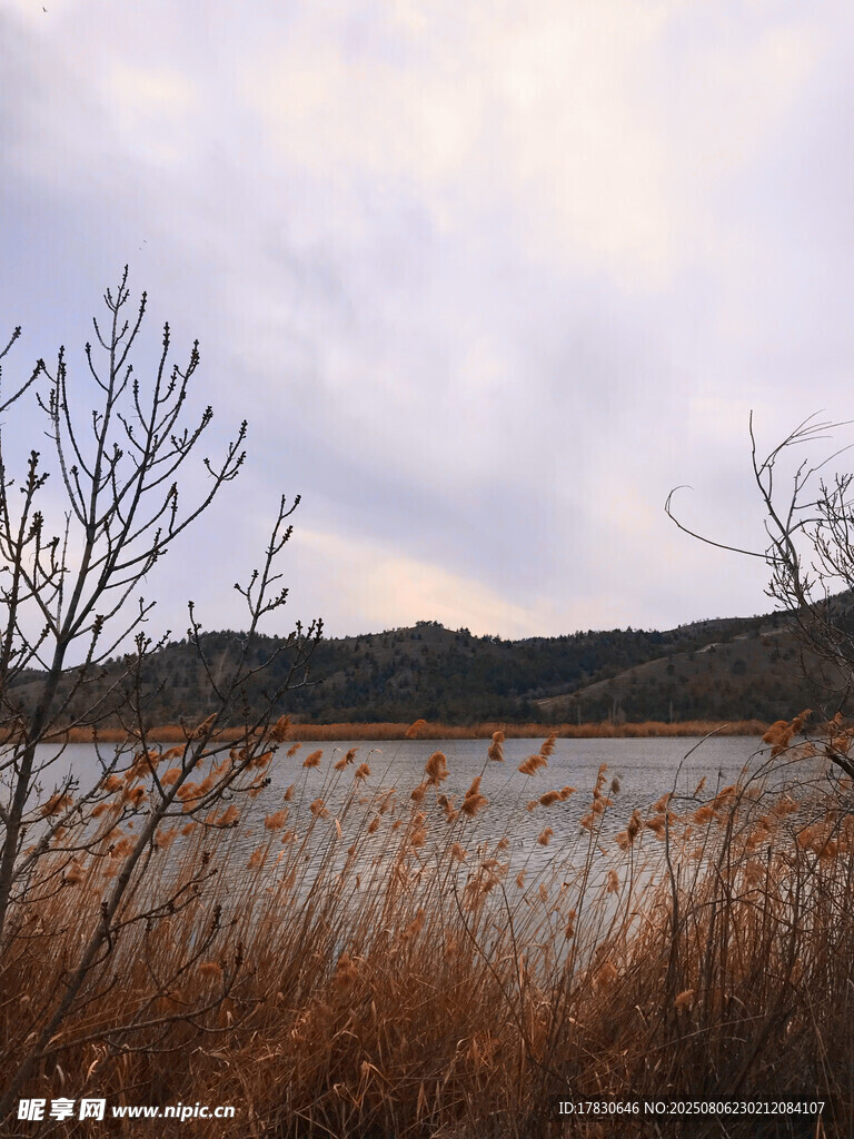 湖畔蕭瑟冬景