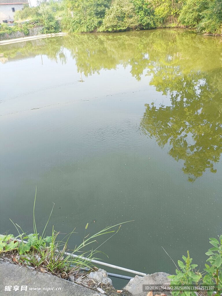 寧?kù)o湖畔景色