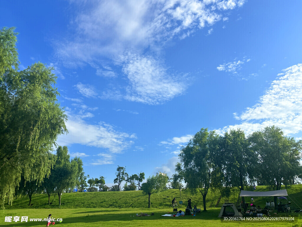 藍(lán)天白云下的綠意公園
