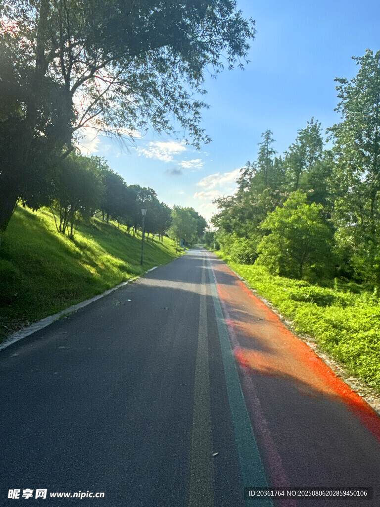 林間陽光大道