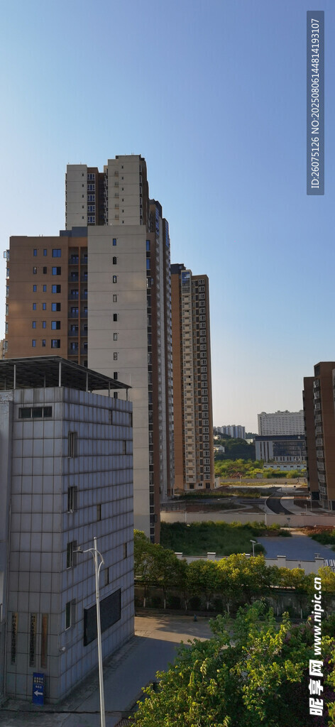 城市建筑與綠植景觀