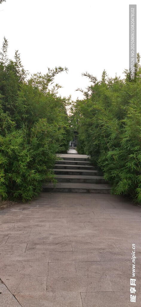 幽靜石階小徑