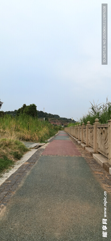 郊外騎行道