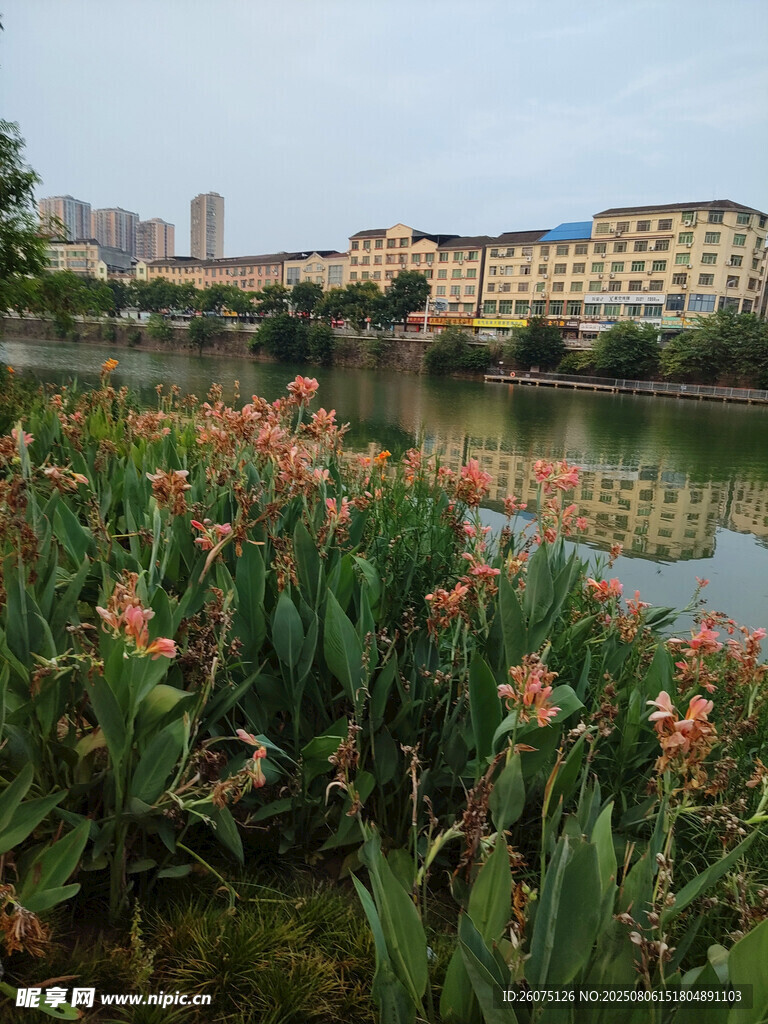 湖畔花卉與遠(yuǎn)處建筑景觀
