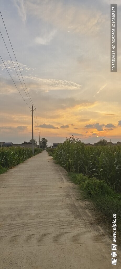 黃昏鄉(xiāng)間小路的靜謐美景