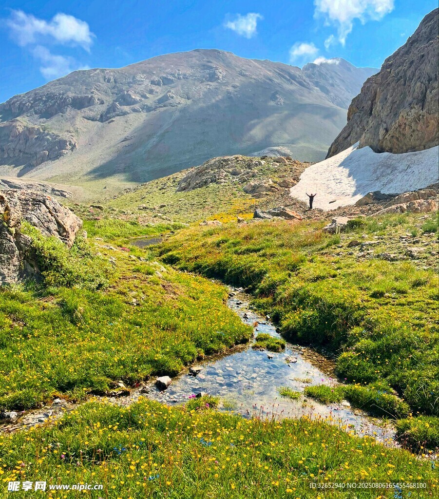 山間綠野溪流美景